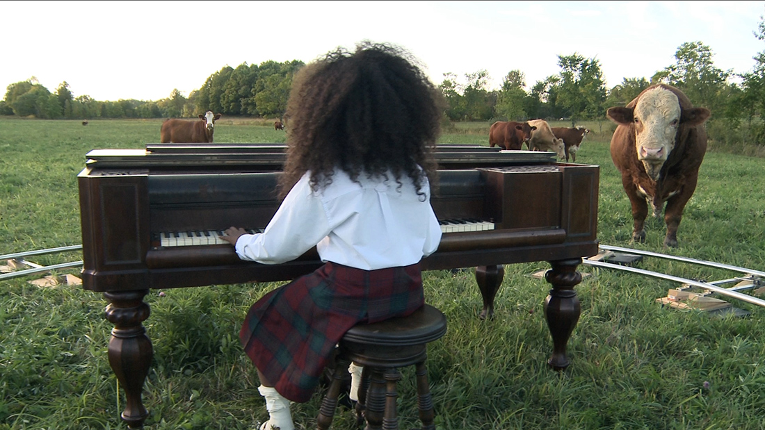 nichola feldman-kiss, after, Africa \ “So long, Farewell” (sunset) / a yard of ashes (continuous cross dissolve) / “Oh! How I hate to get up in the morning!” (sunrise) (2012).  Still of a durational performance.