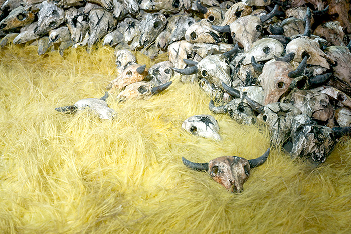 Animation still of pile of buffalo skulls