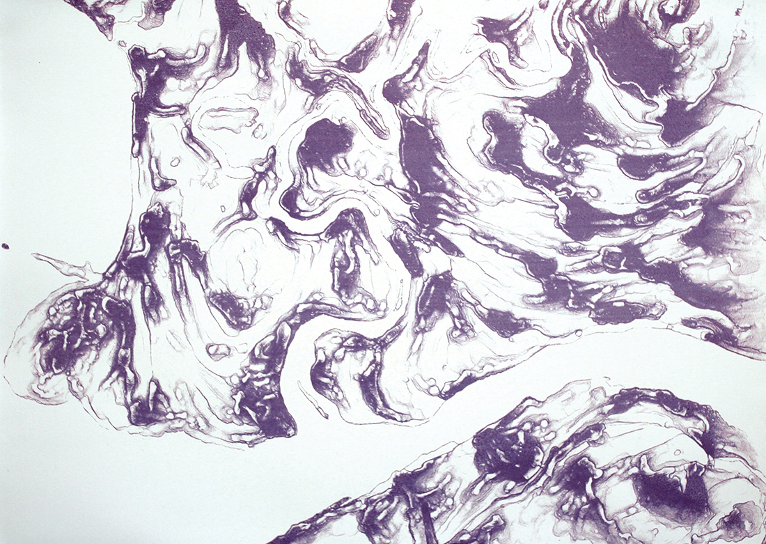 Lisa Myers, Blueprints: Garden River (2015)
